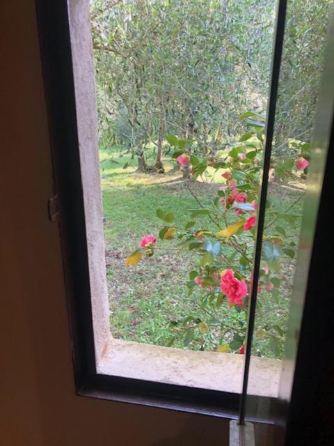 Agriturismo La Pieve Colle Val D'Elsa Εξωτερικό φωτογραφία