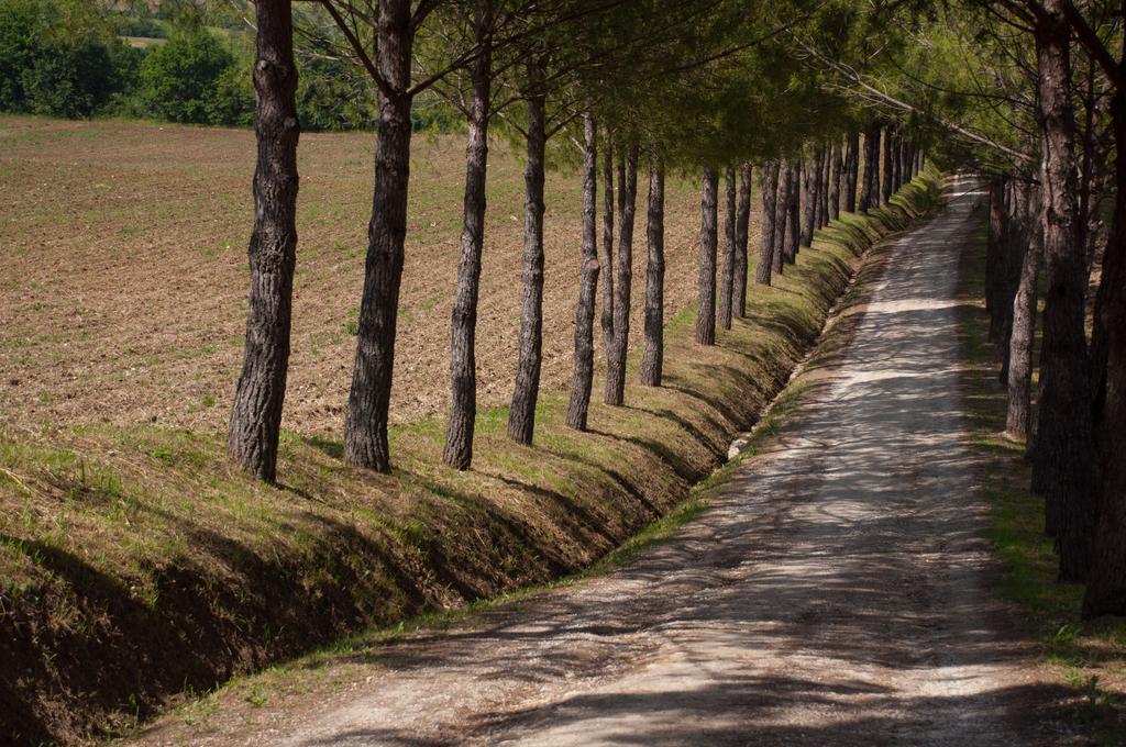 Agriturismo La Pieve Colle Val D'Elsa Εξωτερικό φωτογραφία