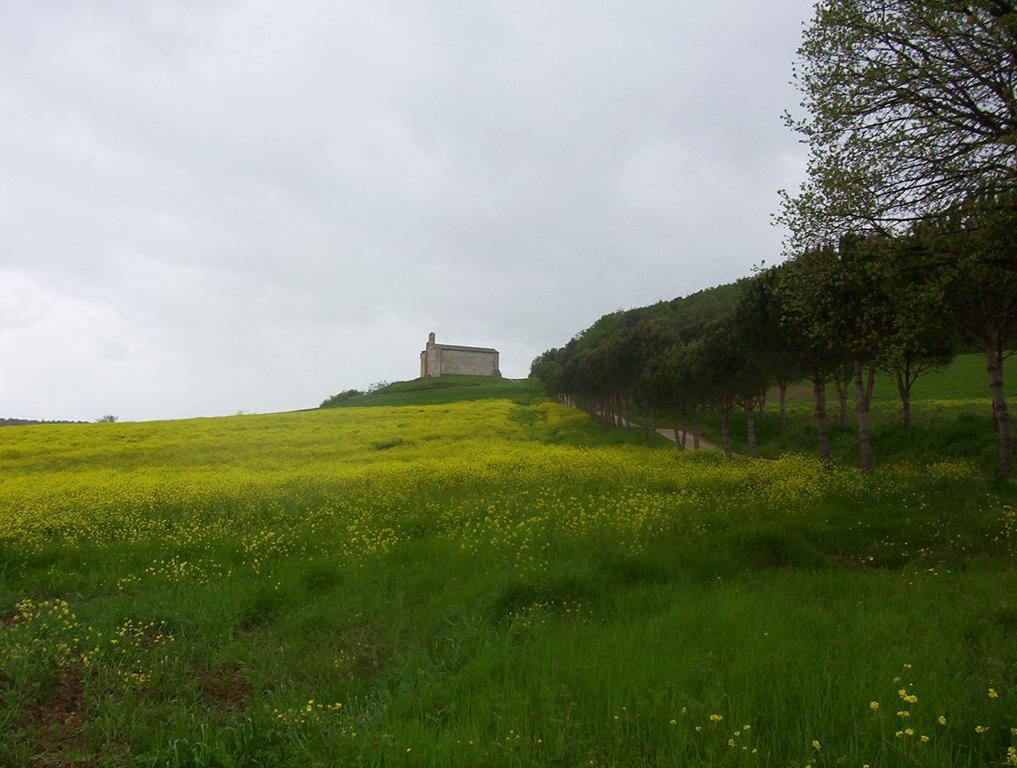 Agriturismo La Pieve Colle Val D'Elsa Εξωτερικό φωτογραφία