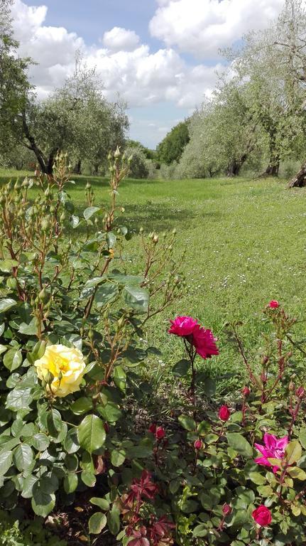 Agriturismo La Pieve Colle Val D'Elsa Εξωτερικό φωτογραφία
