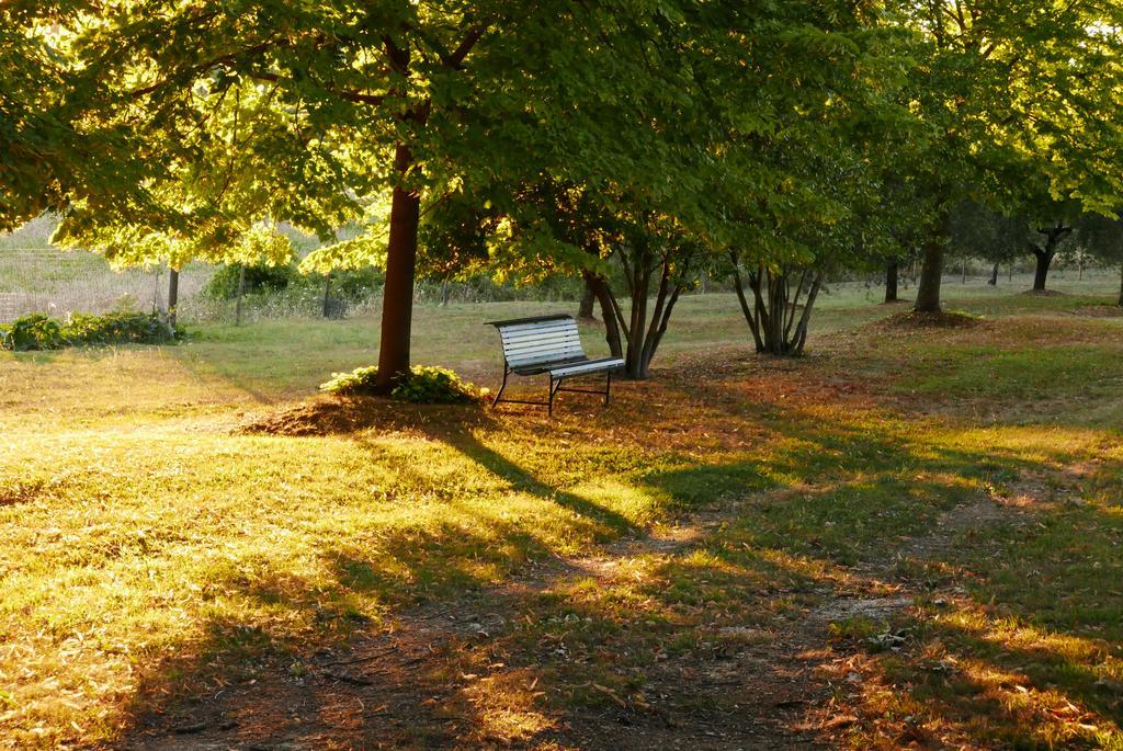 Agriturismo La Pieve Colle Val D'Elsa Εξωτερικό φωτογραφία